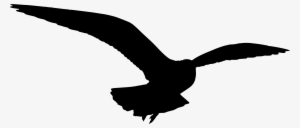 Clipart - Seagull Clip Art #1505799 Clipart - Seagull Clip Art #1505799