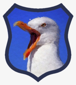 Sheet Stock, Frp, Glossy, 2 Sided, 23.25" X 23.25" #1505872