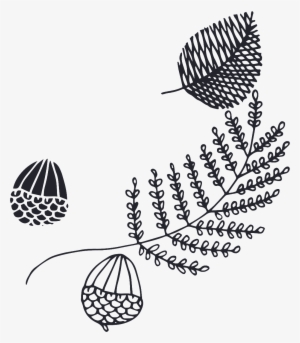 Various Types Of Leaves Cartoon Transparent - Leaf #1506000