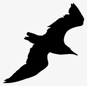 Gull Png - Gull Silhouette #1506049