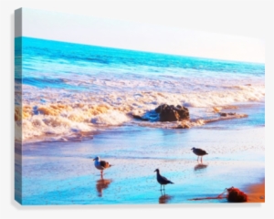 Seagull Bird On The Sandy Beach With Blue Wave Water - Water #1506079