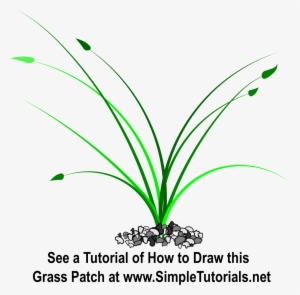 Patch Of Grass #1507609 Patch Of Grass #1507609