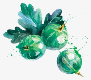 Personalized - Watercolor Berry Transparent #1509900