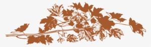Brown Leaves, Leaves, Leaf, Beautiful Foliage Png Image - Autumn Leaves Png #1510068