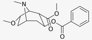 Cocaine Analog 225e - Calcium Salicylate #1510878