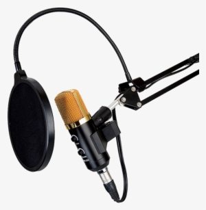 Recording Studio Mic Png - Rode Nt 2a Microphone - Free Transparent PNG