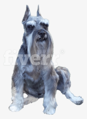 Santa Barbara #1513029