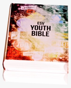 Psbesv Youth Bible - Flyer #1513695