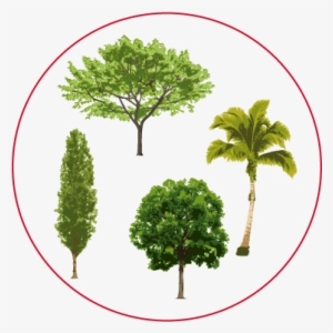 Conjunto-arboles - Misfits #1514425