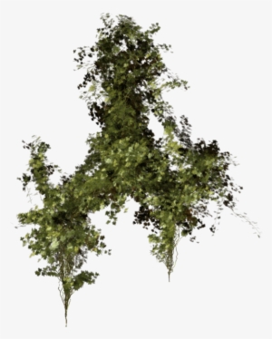 Green Leaves Png Images Free Download Pictures - Végétation Png #1514520