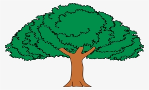 Arbol De Guanacaste Mueble Heraldico - Imagenes Del Arbol De Guanacaste #1514563