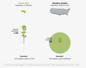 Lamentablemente, En Muchos Lugares No Han Comprendido - Cobertura Boscosa De Costa Rica Grafico #1514738
