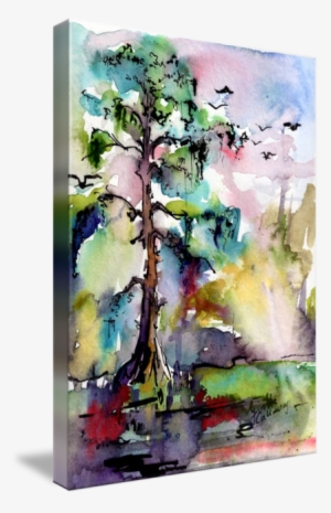 Moss Drawing Watercolor - Tree 1 Swamp Cypress Spanish Moss #1514797