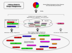 Grammy - Model - Mixture #1514819