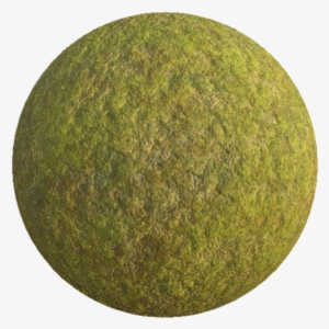 Free Moss Png - Moss Substance Designer #1514846