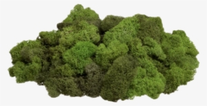 Rock Covered In Moss Png Picture Free Library - Transparent Moss Png #1514898