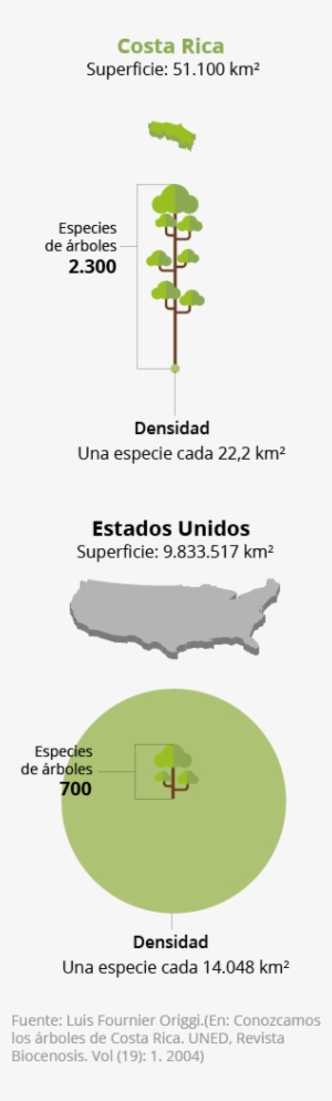 Lamentablemente, En Muchos Lugares No Han Comprendido - Tree #1514899