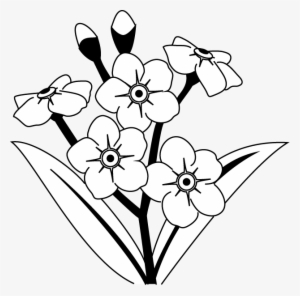 Banner Royalty Free Library Black And White Google - Black And White Forget Me Not Clip Art #1517690