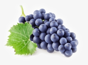 Free Png Grape Png Png Images Transparent - Grape Png #1518111