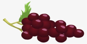 Grapes Fresh Grapes Png - Red Grapes Clipart #1518292