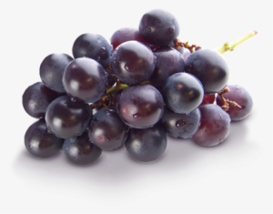 Grape Transparent Png - Dr. Marder Dry, Itchy Scalp Dandruff Shampoo, 6 Oz, #1518688