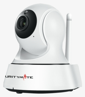 Additional Information - - Ip Camera #1518848