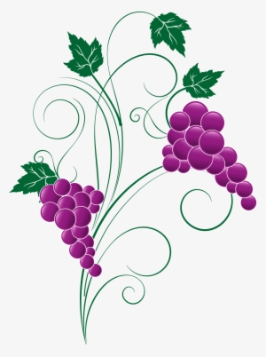Amazing Grape Clipart Png Image X Grape Png Transparent - Png Transparent Clipart Grapes #1519019