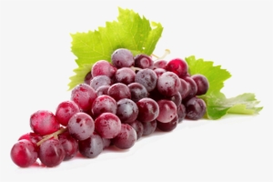 Real Estate Investment Clipart Grape - Rose Wine Grape Png #1519066