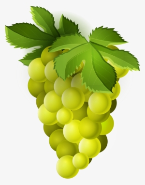 Grape Png Trans - Green Grapes Fruit Clipart Png #1519287