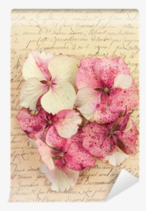 Vintage Pink Antiques #1519863