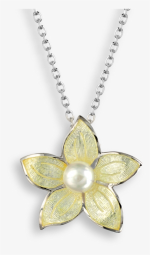 More Views - Forget Me Not Necklace #1520065