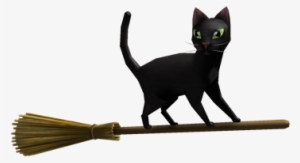 Magic Broom Black Cat - Black Cat Broom #1520658
