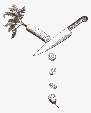 Citrus Salad, Mint & Basil - Sketch #1521181