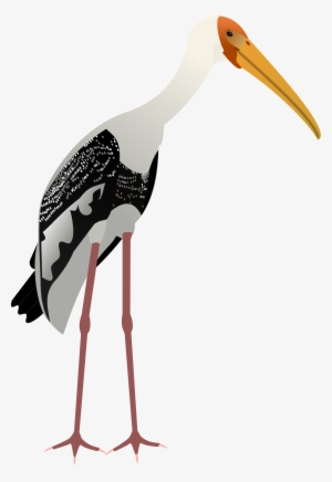 Open - Painted Stork Vector #1521182