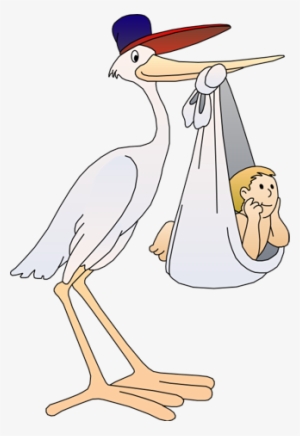 Stork Clipart Transparent - Stork Delivering Baby Png #1521211