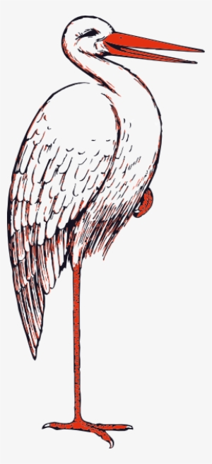 Stork In Color Svg Clip Arts 270 X 591 Px #1521529