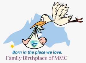 Family Birthplace Stork - Stork Delivering A Baby Shower Curtain #1521594