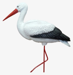 Stork Png - Аист Картинка #1521615