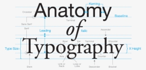 Anatomy Of Typography - Anatomy Of Type #1521966