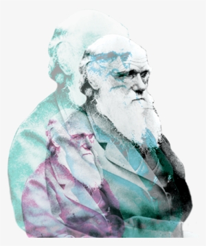 Contact - Darwin And Darwinism 150 Years Later: Biblical Faith #1521991