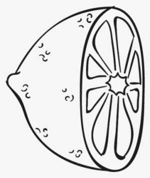Half Lemon Doodle Vector - Lemon Doodle Png #1522170
