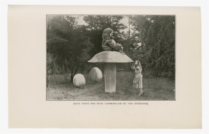 Photograph #1523004