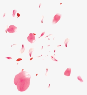 Flowers Petali Rose Petals Petalsofroses Pink Love - Flor De Cerezo Petalos Png #1523109