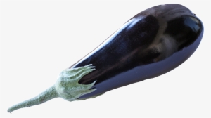 Portable Network Graphics #1523252