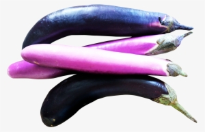 Plante Aubergine Clipart Transparent #1523521