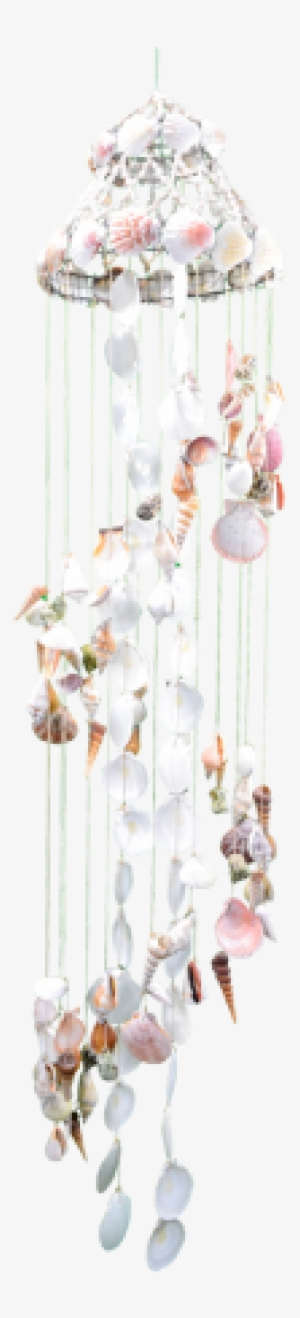 Seashell Chandelier 10x48"-white Moon #1523661