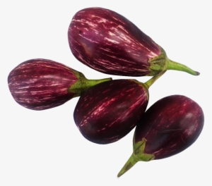 Png Freeuse Brinjal Png Image Purepng Free Cc Library - Eggplant #1523866