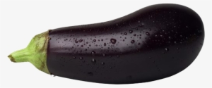 Eggplant #1524022