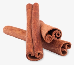Ceylon Cinnamon - Draw A Cinnamon Stick #1524375