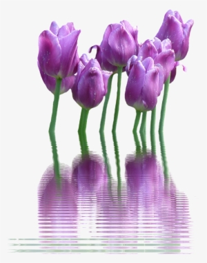 Spring Flower Png Transparent #1524419